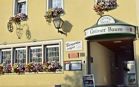 Hotel Grüner Baum